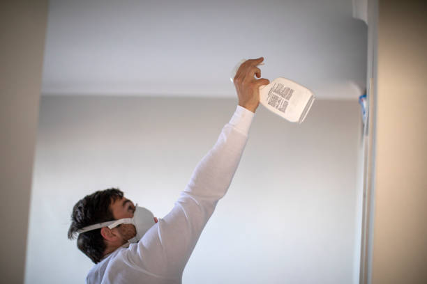 Best Attic Mold Removal  in Sabina, OH