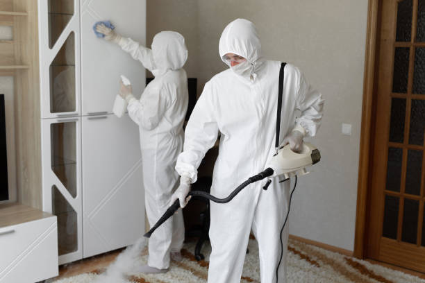 Trusted Sabina, OH Mold Removal Experts